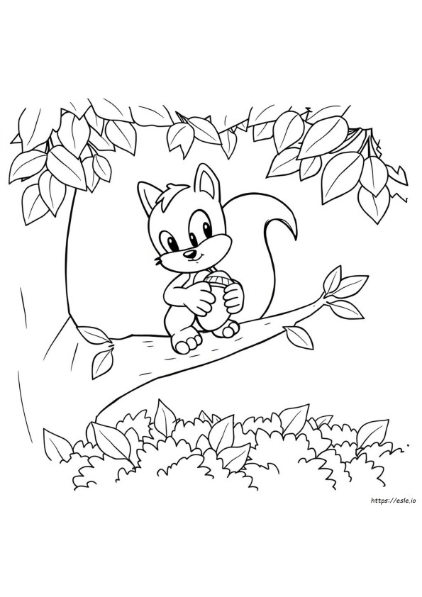 Sonic Ariciul De Colorat