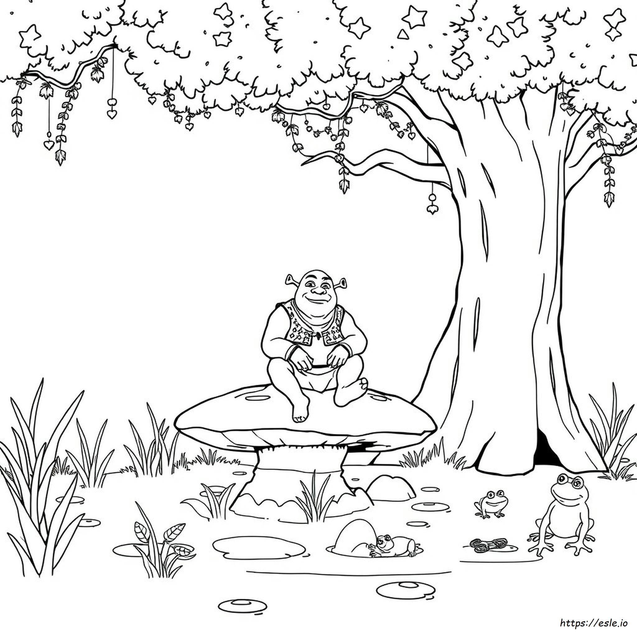 Shrek Pictures To Color