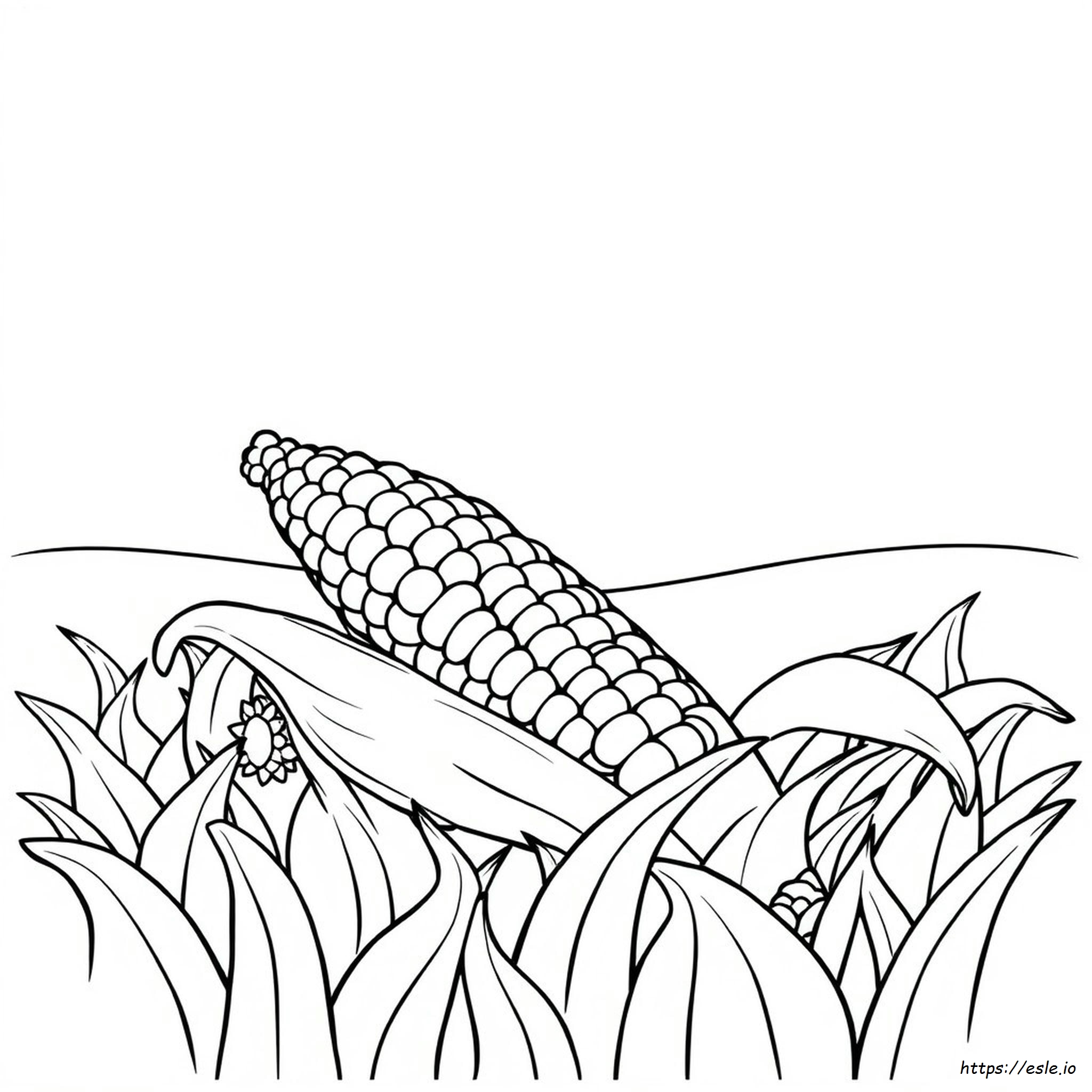 Coloring Page Of Corn On The Cob