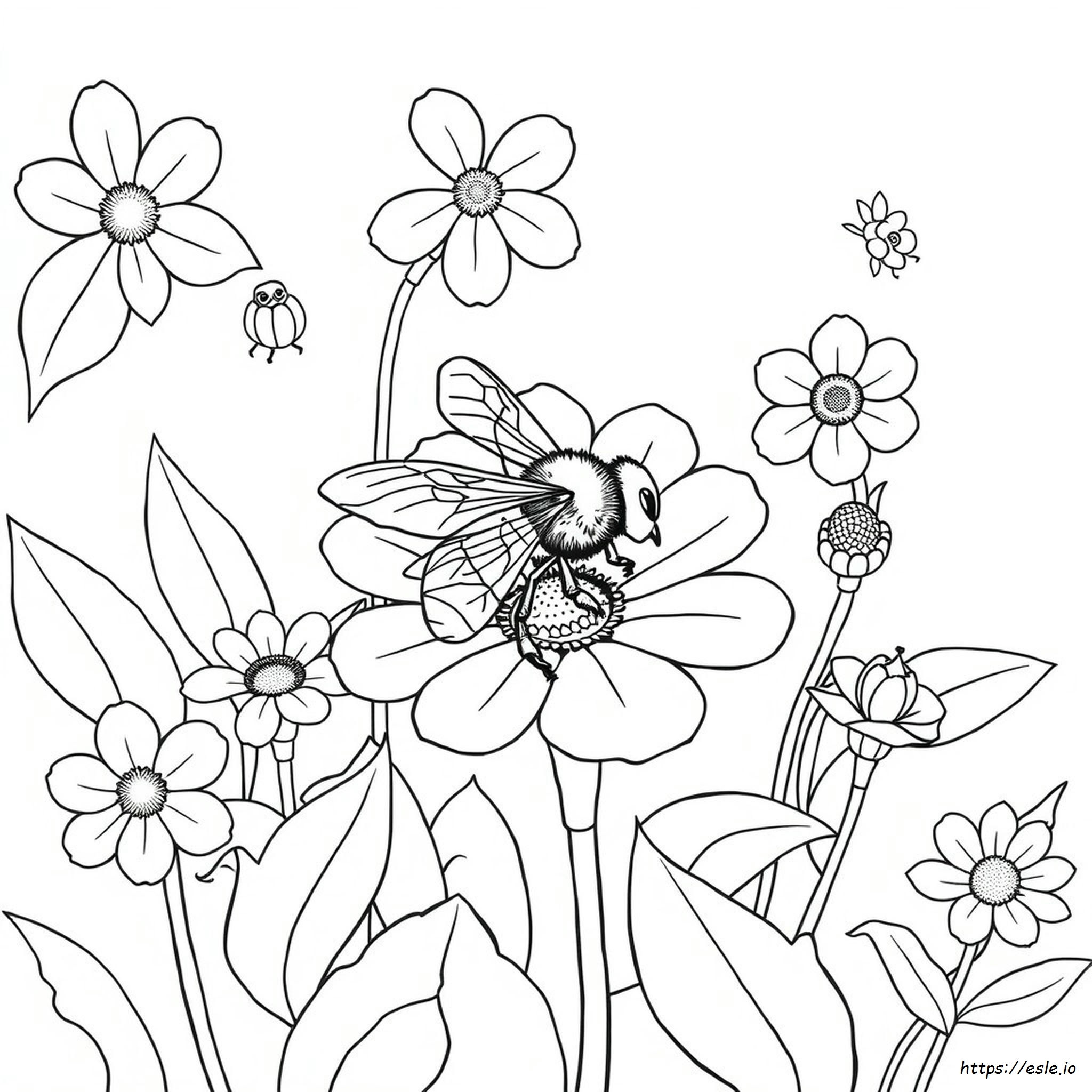 Honigbiene Ausmalbilder