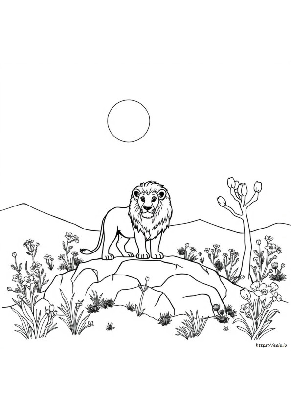 Animal Colouring Pages For Adults