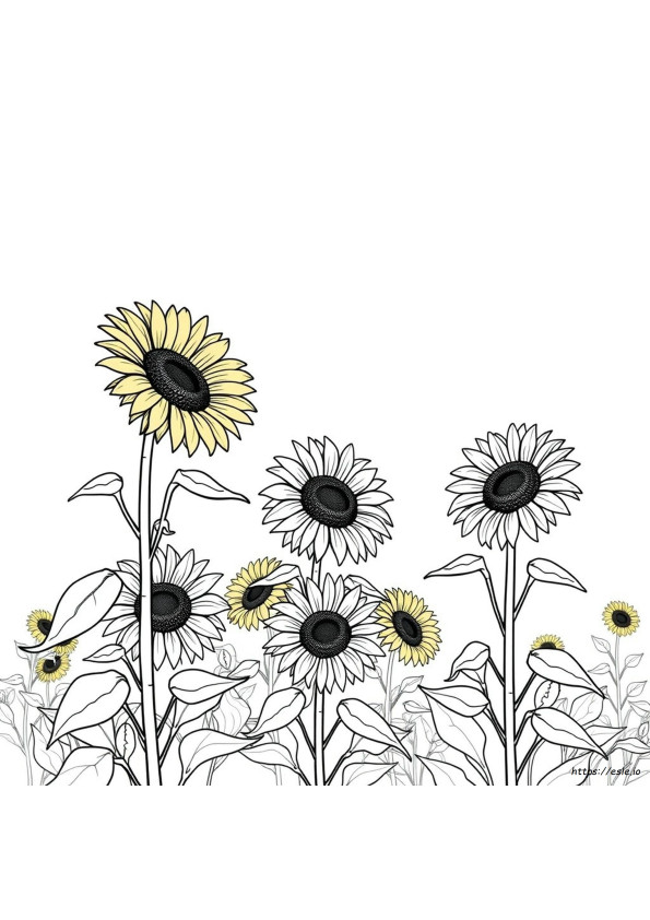 Disegno E Da Colorare