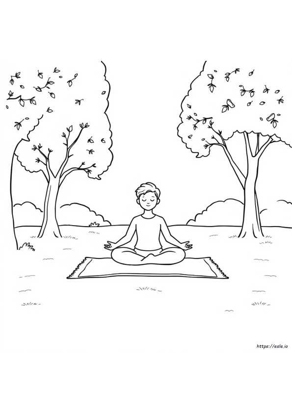 Colorir Para Meditação