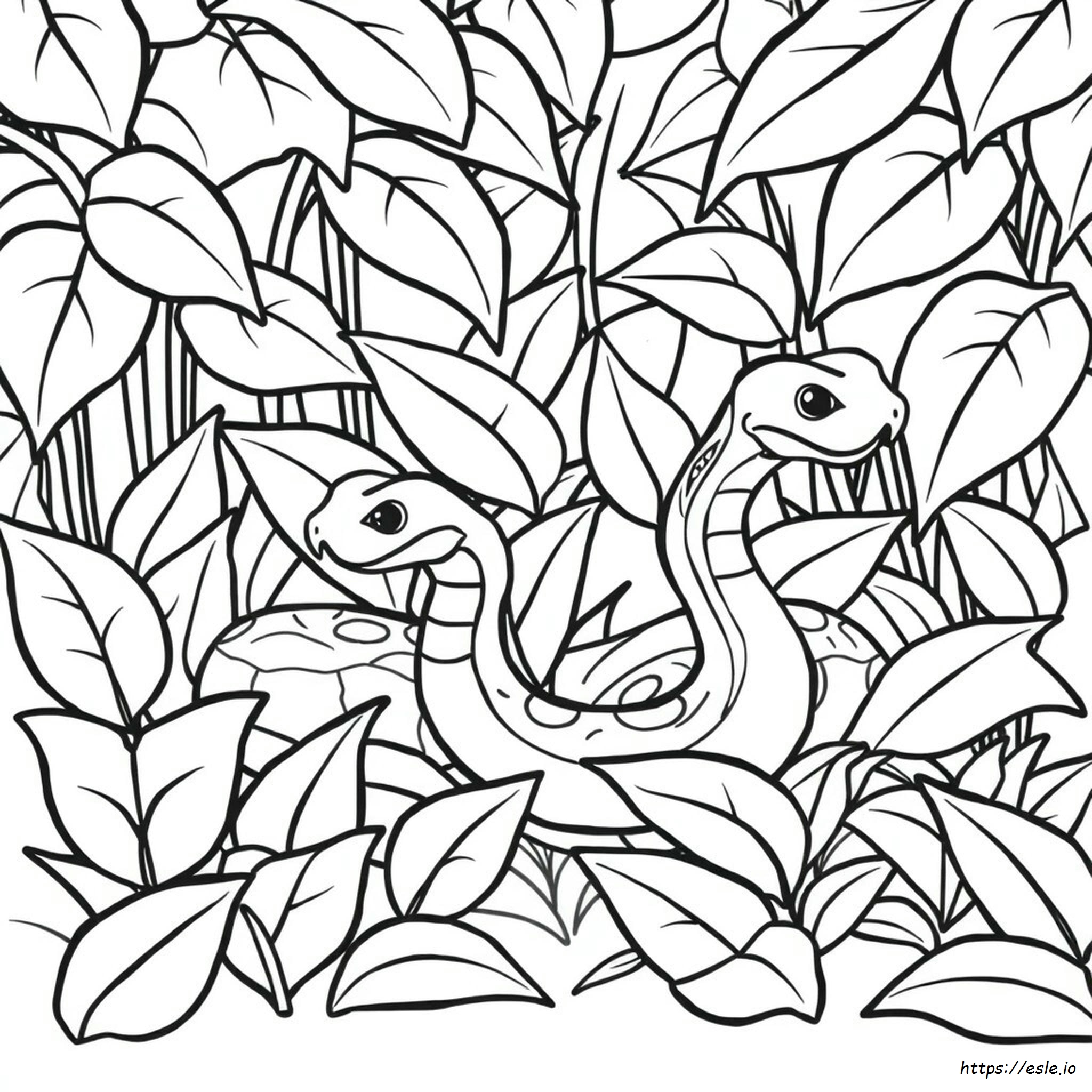 Dibujo Para Colorear De Serpiente Gratis
