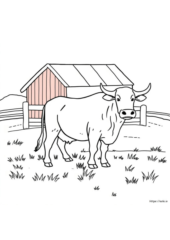 Desenhos De Touros Para Colorir