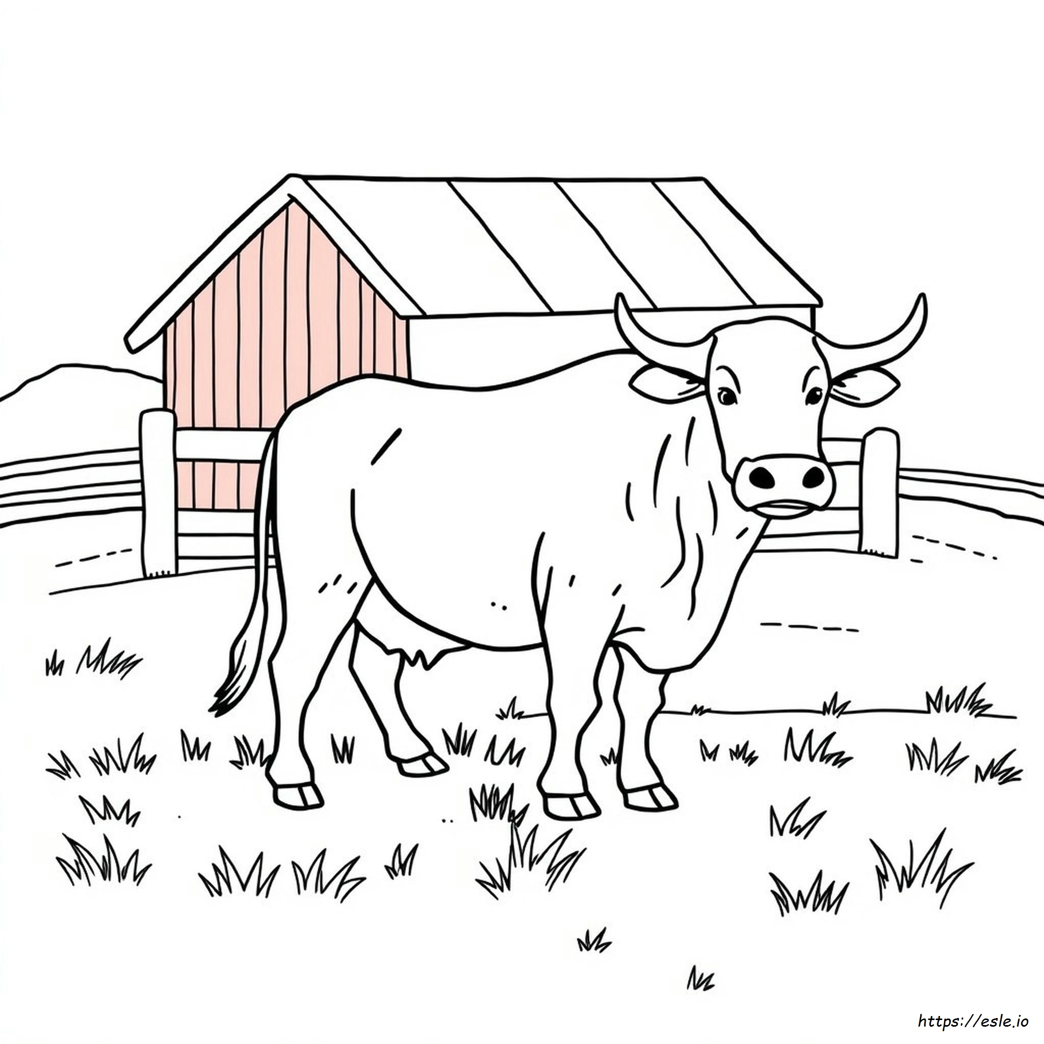 Coloring Pictures Of Bulls - Free Printable