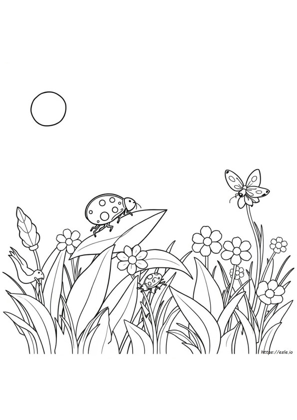 Insecten Kleurplaten