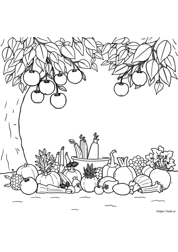 Fruits And Vegetables Coloring