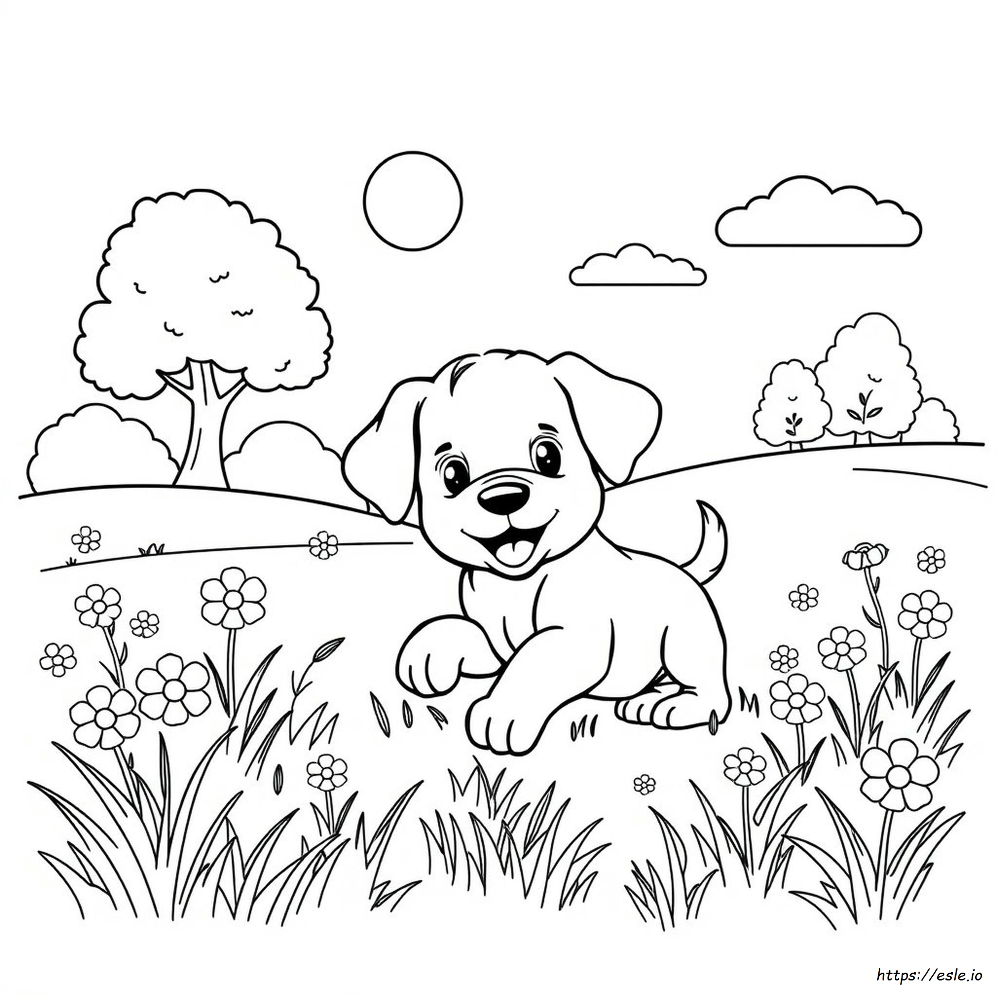 Puppy Coloring Page - Free Printable for Kids