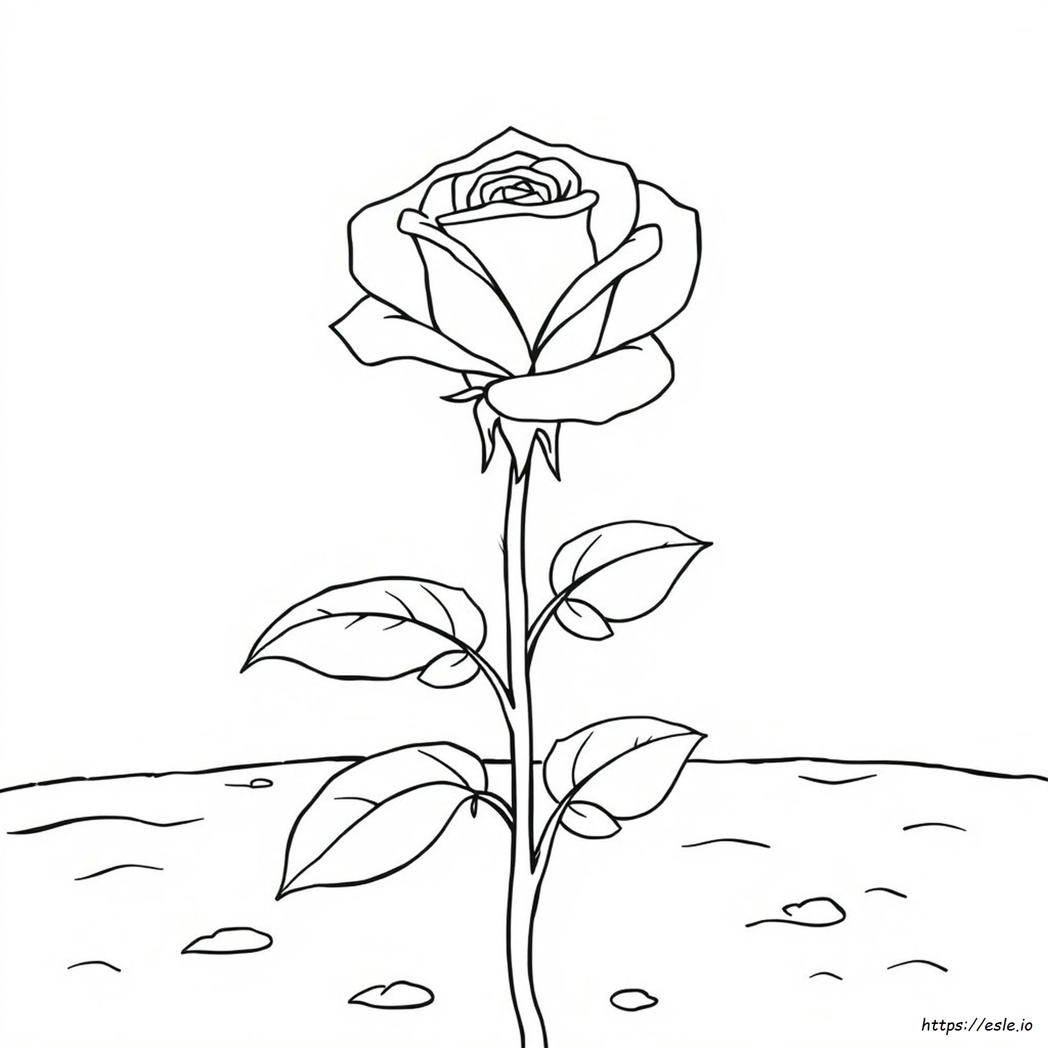 Rose Colouring Pages Printable
