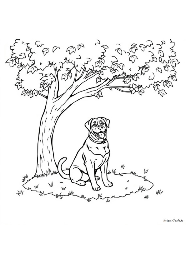Coloring Pages Of Rottweilers