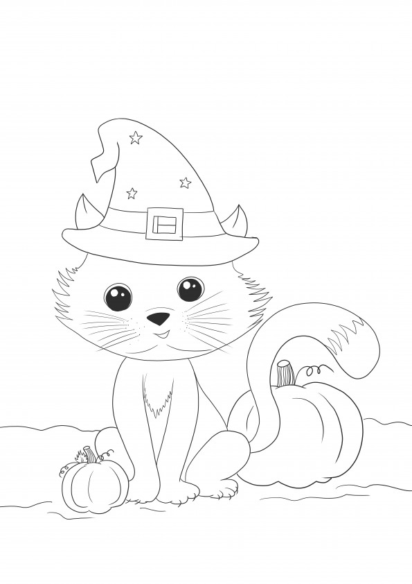 Witch cat and pumpkins for Halloween coloring and printing for free
