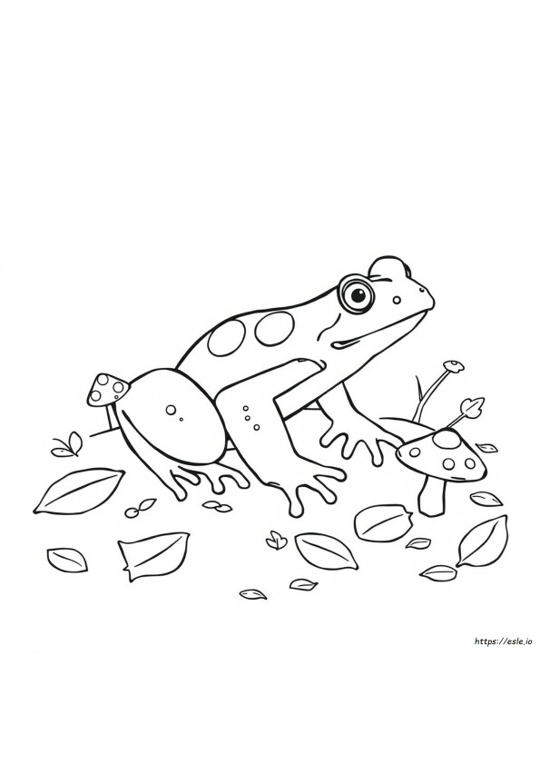 Rana Venenosa Para Colorear
