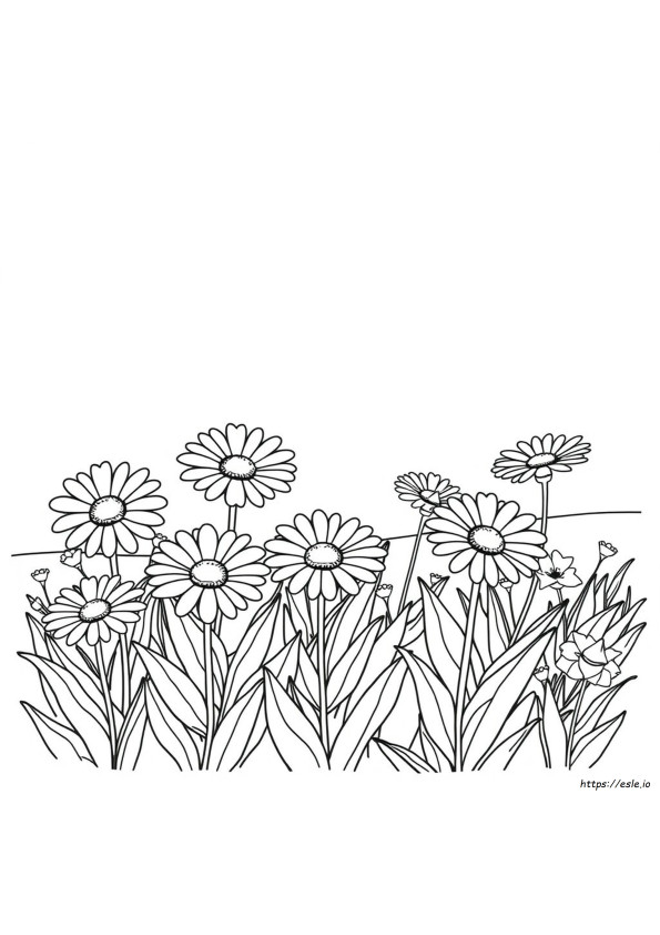 Páginas Para Colorear De Margaritas Imprimibles