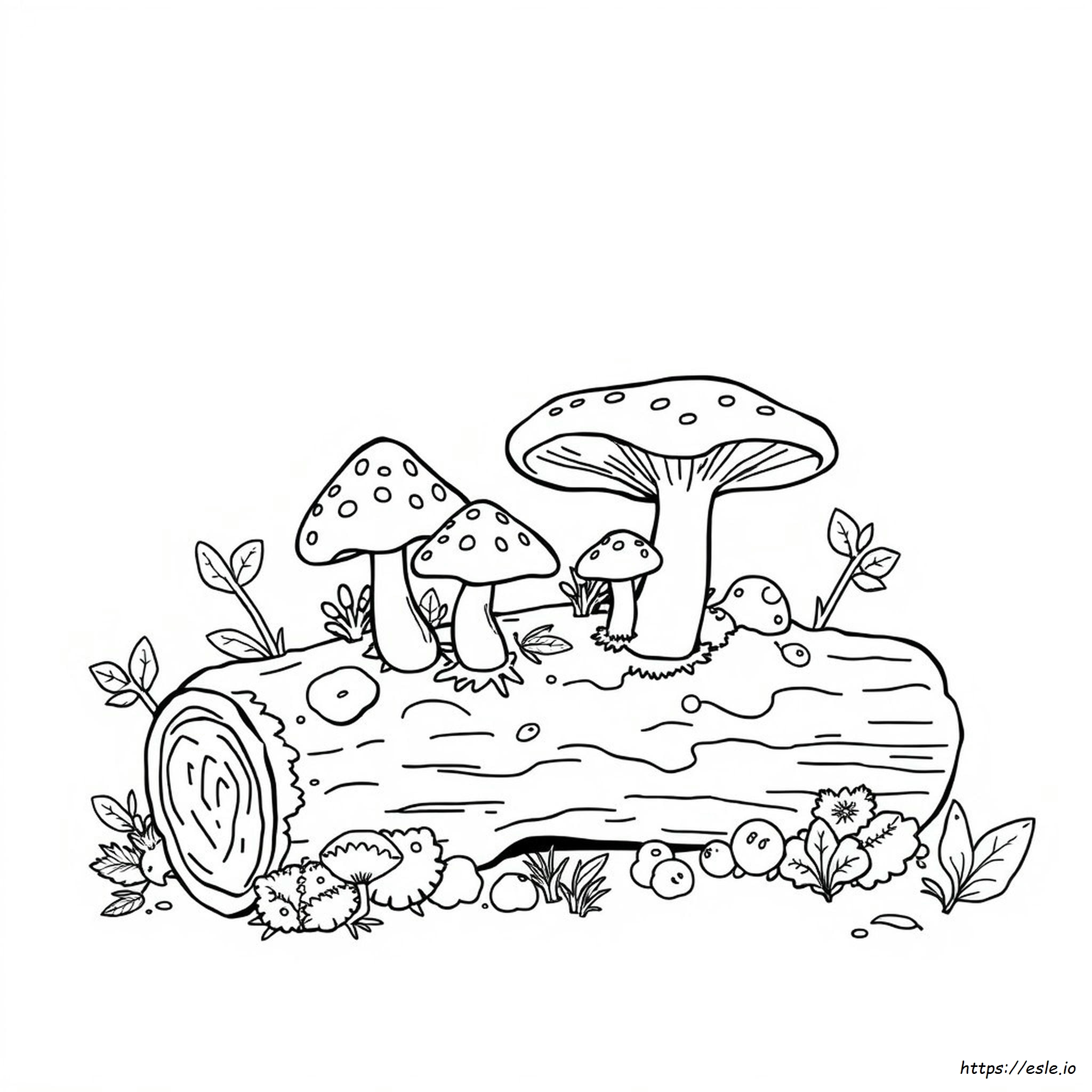 Fungi Coloring Page