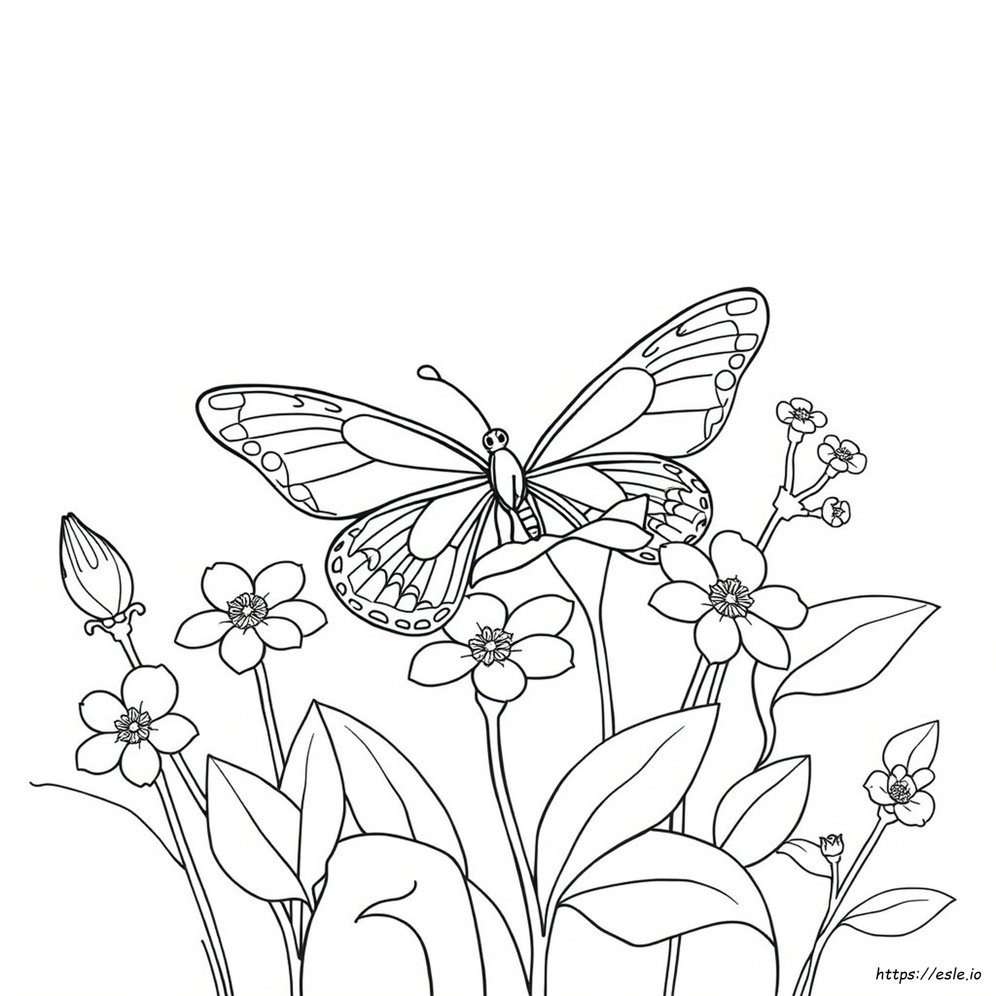 Spring Butterfly Coloring Pages