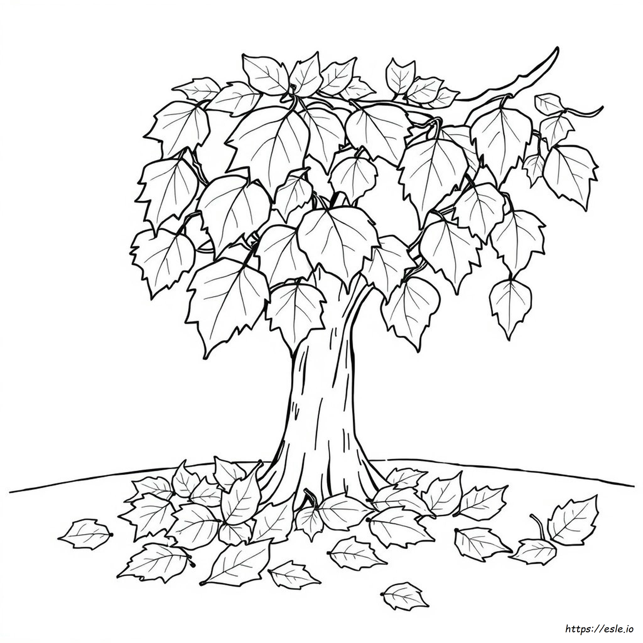 Coloring Pages Of A Leaf - Free Printable