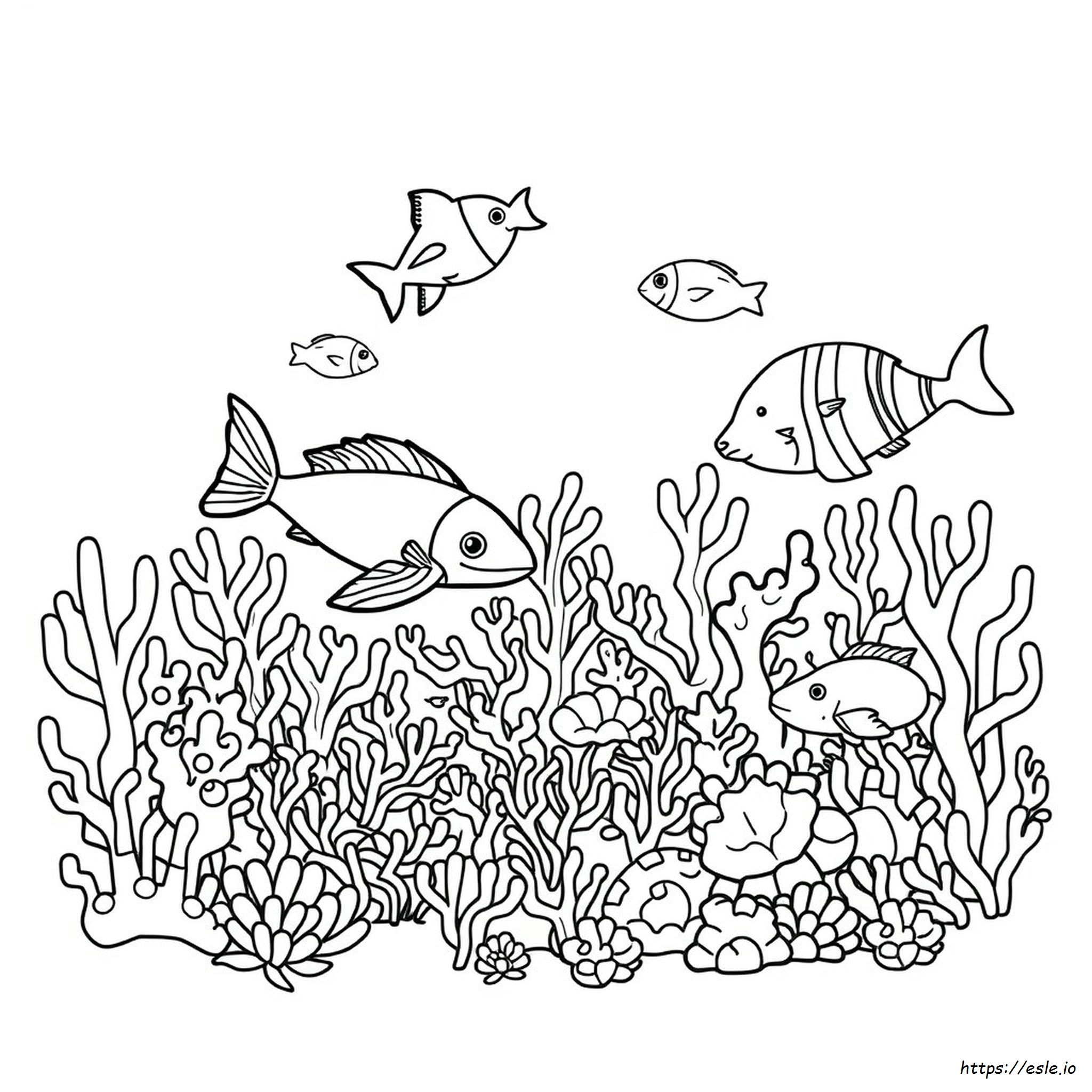 Coloring Pictures Of Ocean Animals