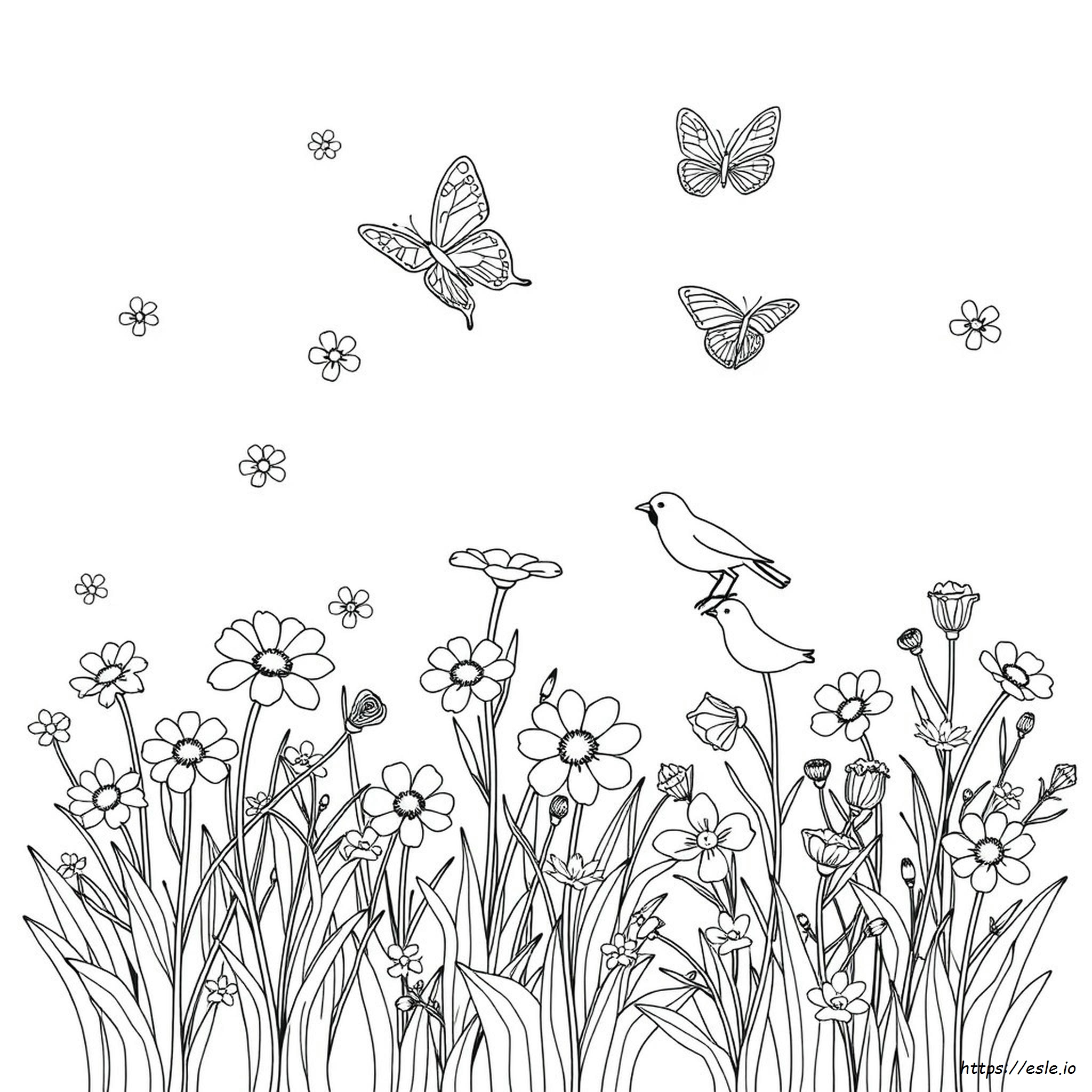 High Quality Printable Coloring Pages