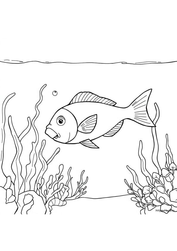 Printable Fish Colouring