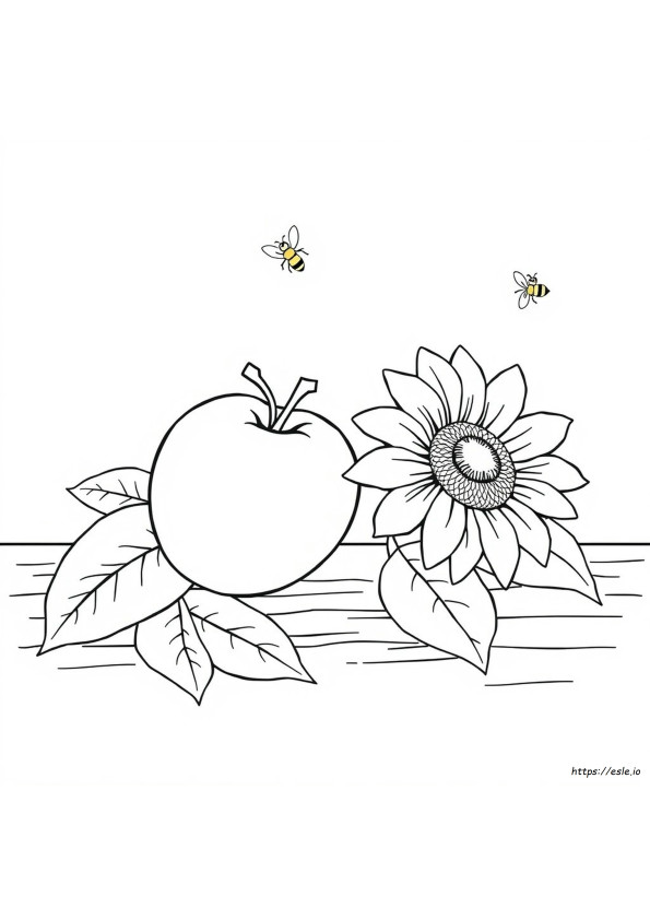 Nectarina Para Colorir