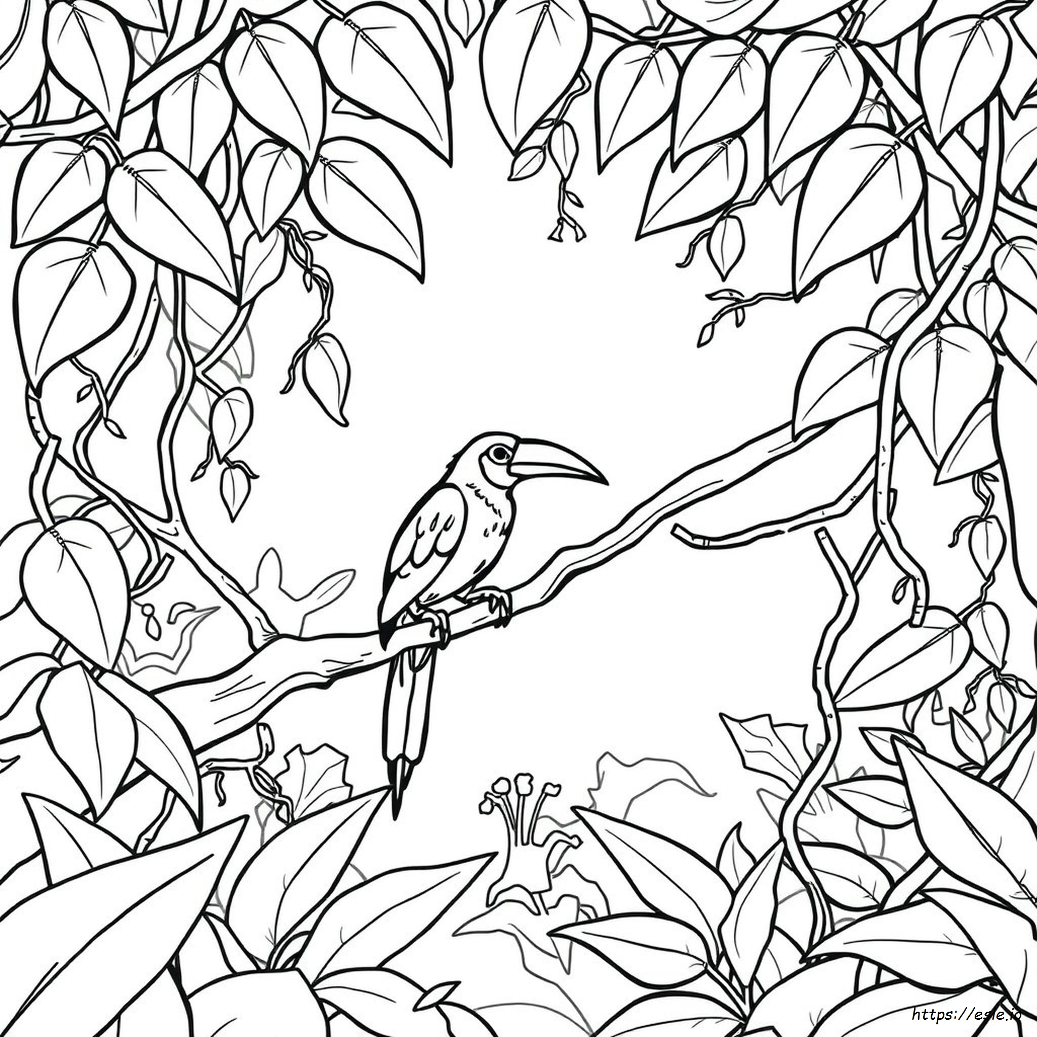 Rainforest Bird Coloring Pages Printable