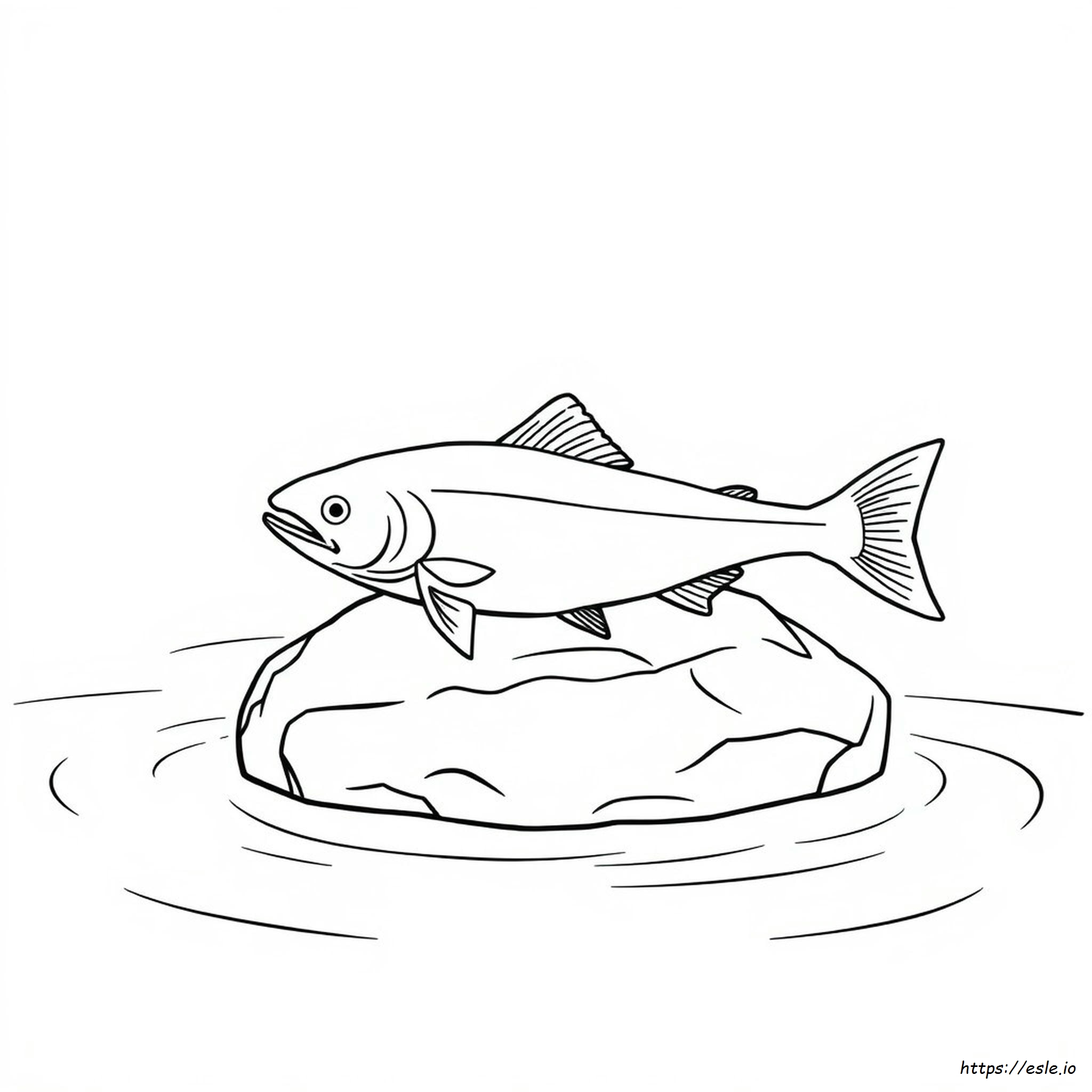Printable Salmon Coloring Pages