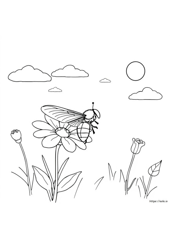 Desenho Do Stinkfly Para Colorir