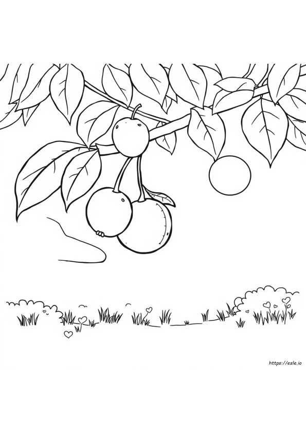 Fruit Coloring Pages