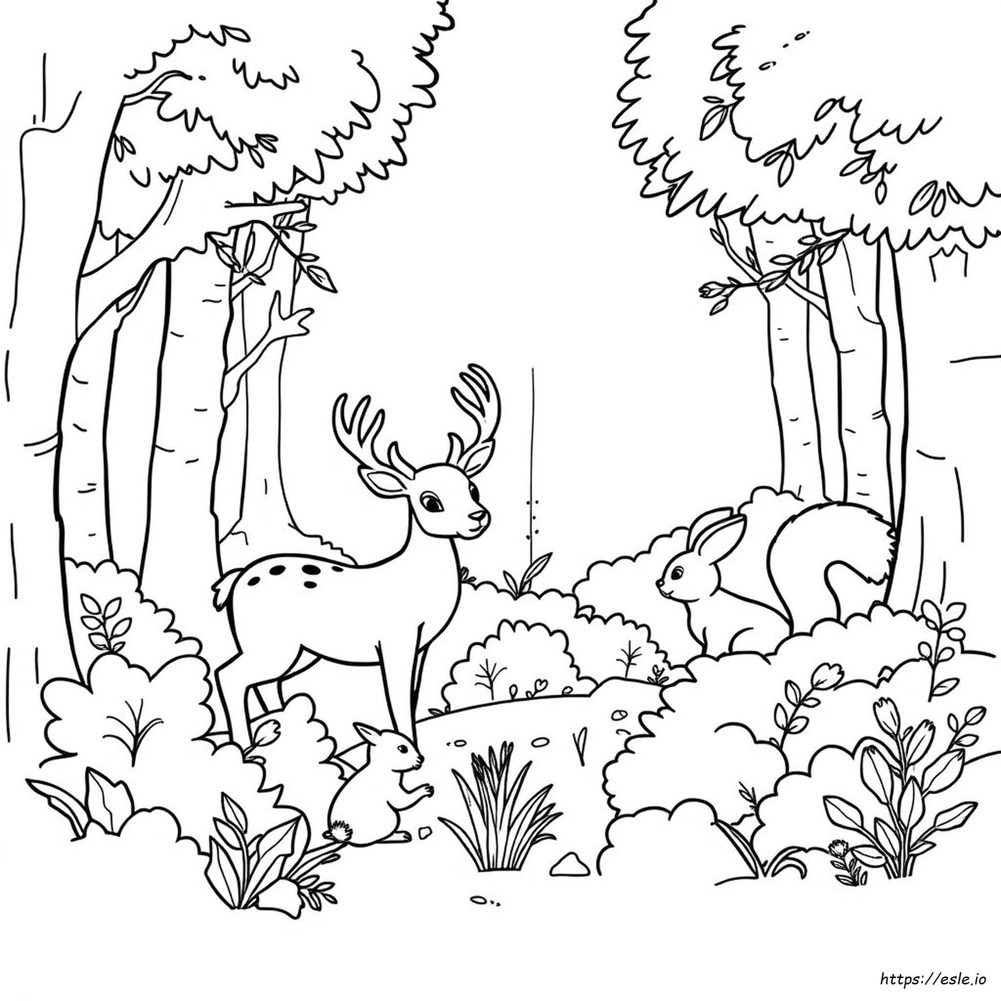 Coloring Pages Of Forest Animals