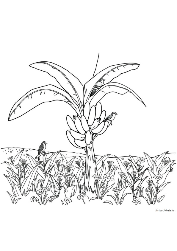 Capítulo 3 Jardim De Banban Desenhos Para Colorir