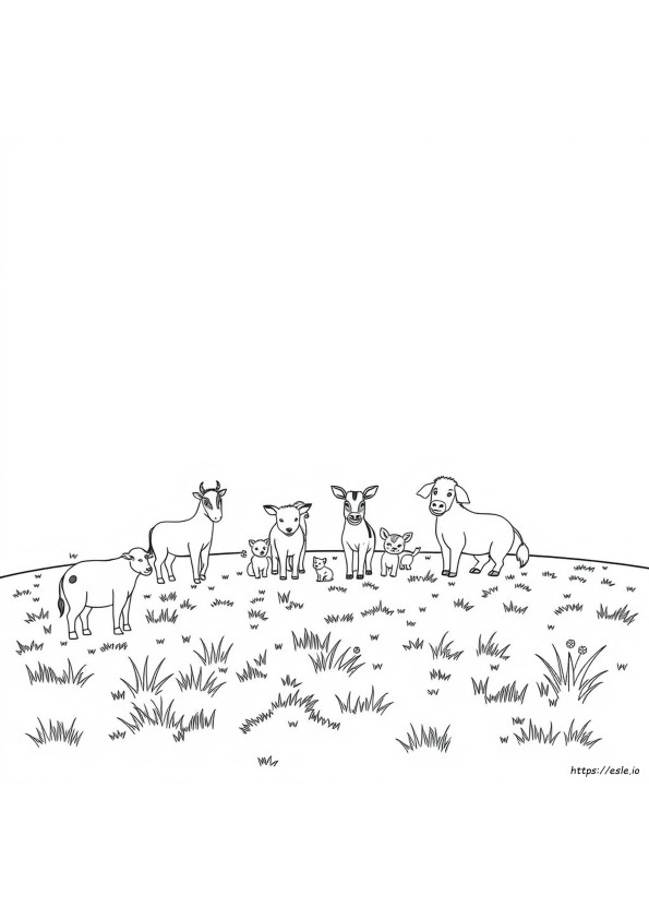 Color Animals Coloring Book Perfectly Portable Pages