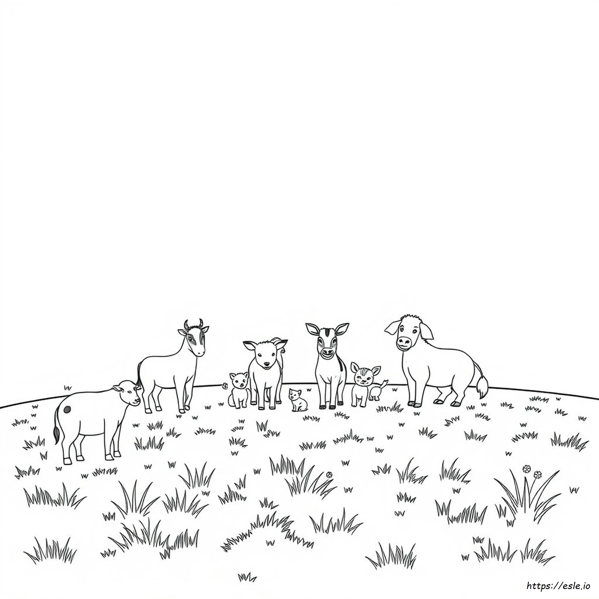 Color Animals Coloring Page - Free Printable for Kids