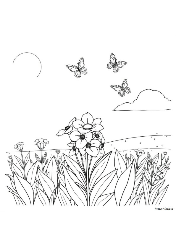 Coloring Pages Of Plants And Flowers