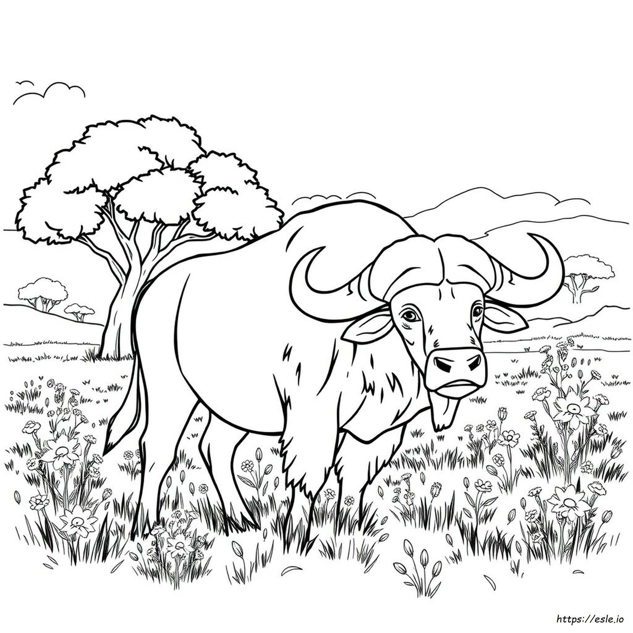 Disegno Da Colorare Bisonte Realistico - Gratis