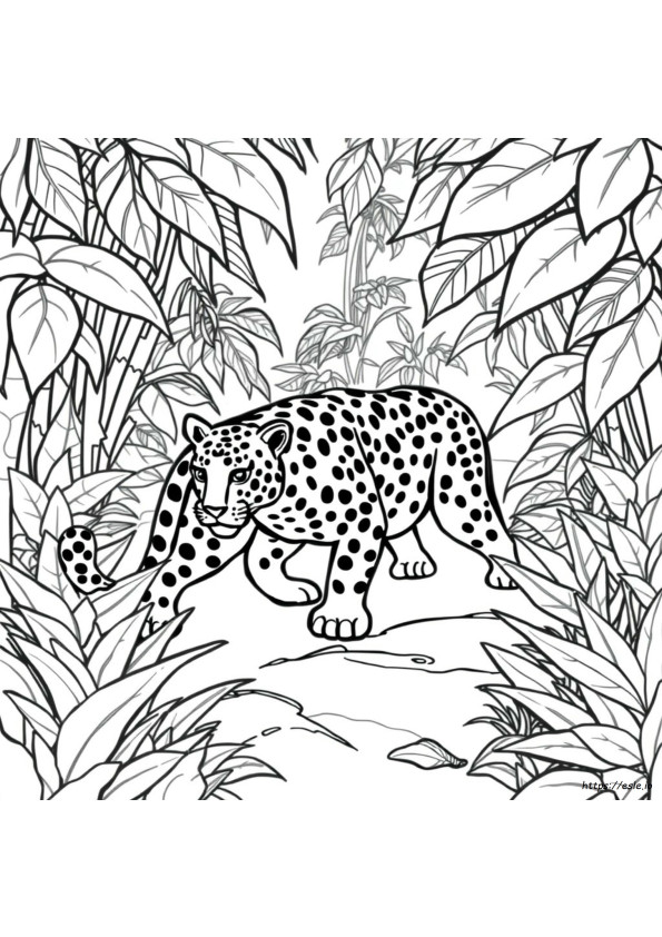 Jaguar Ausmalbilder Kostenlos