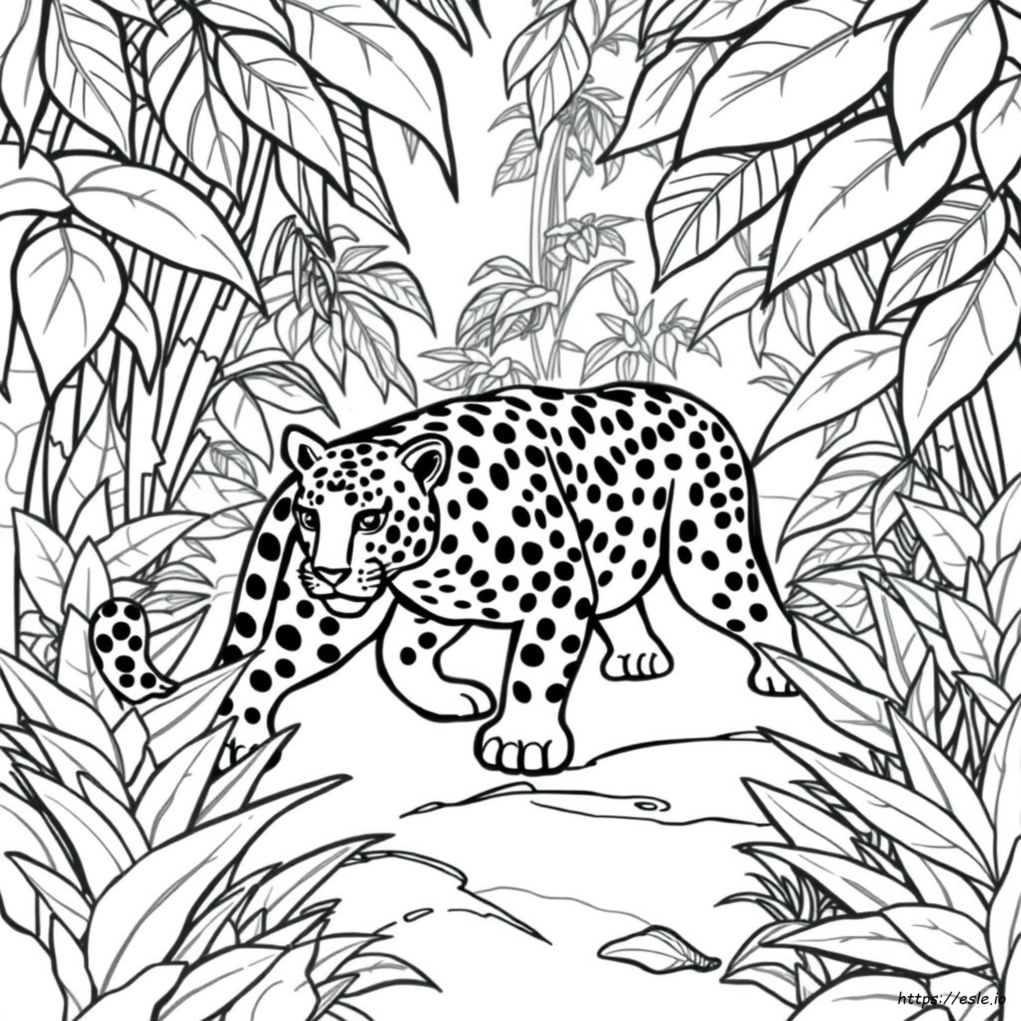 Jaguar Coloring Pages Free
