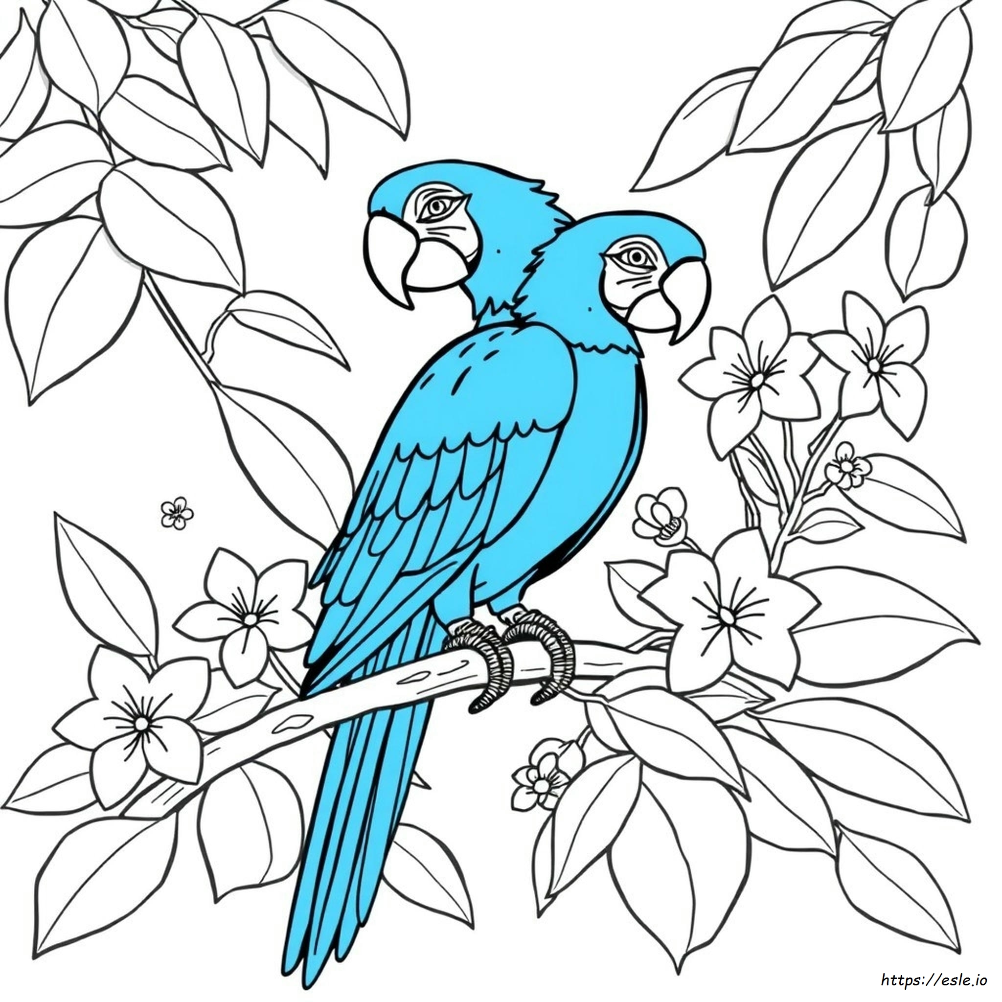 Blue Macaw Coloring Pages