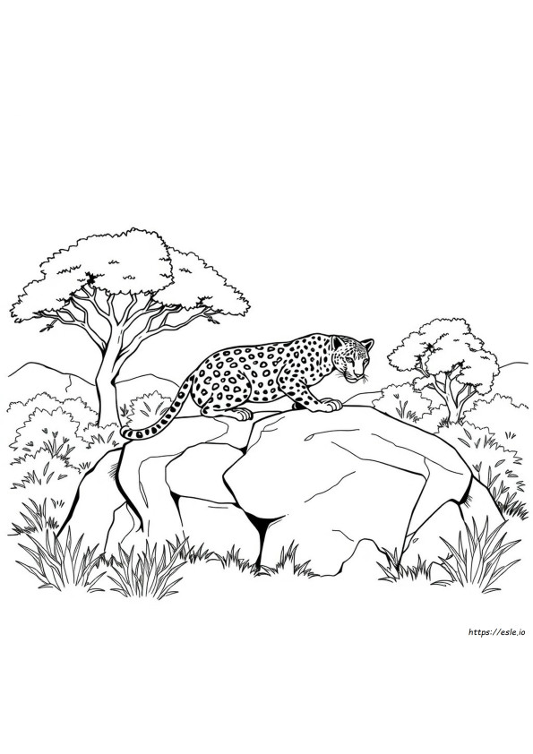 Realistic Leopard Coloring Pages