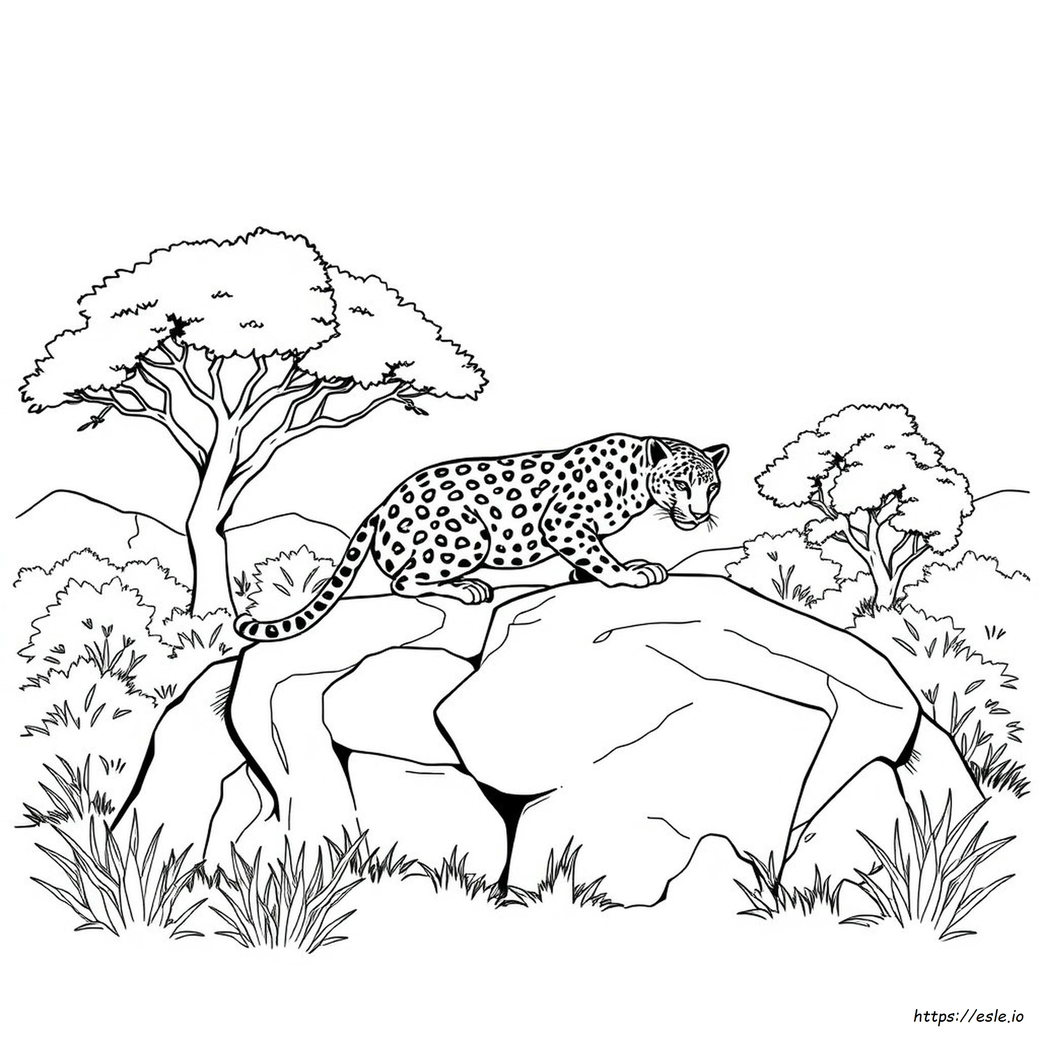 Leopard Realist De Colorat