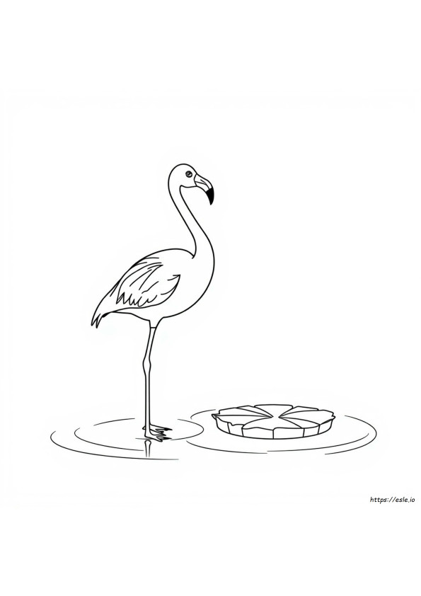 Wie Man Einen Flamingo Ausmalt