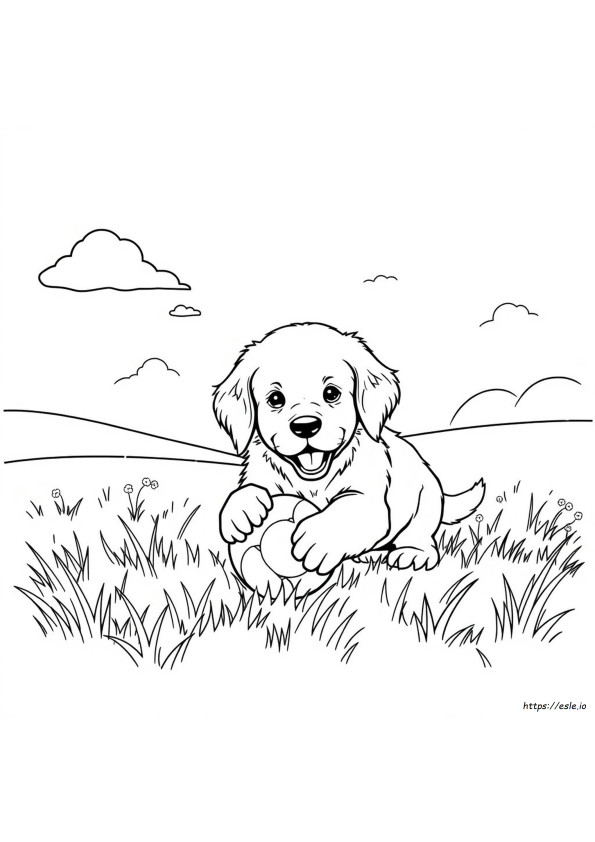 Páginas Para Colorear De Lindo Cachorro Golden Retriever