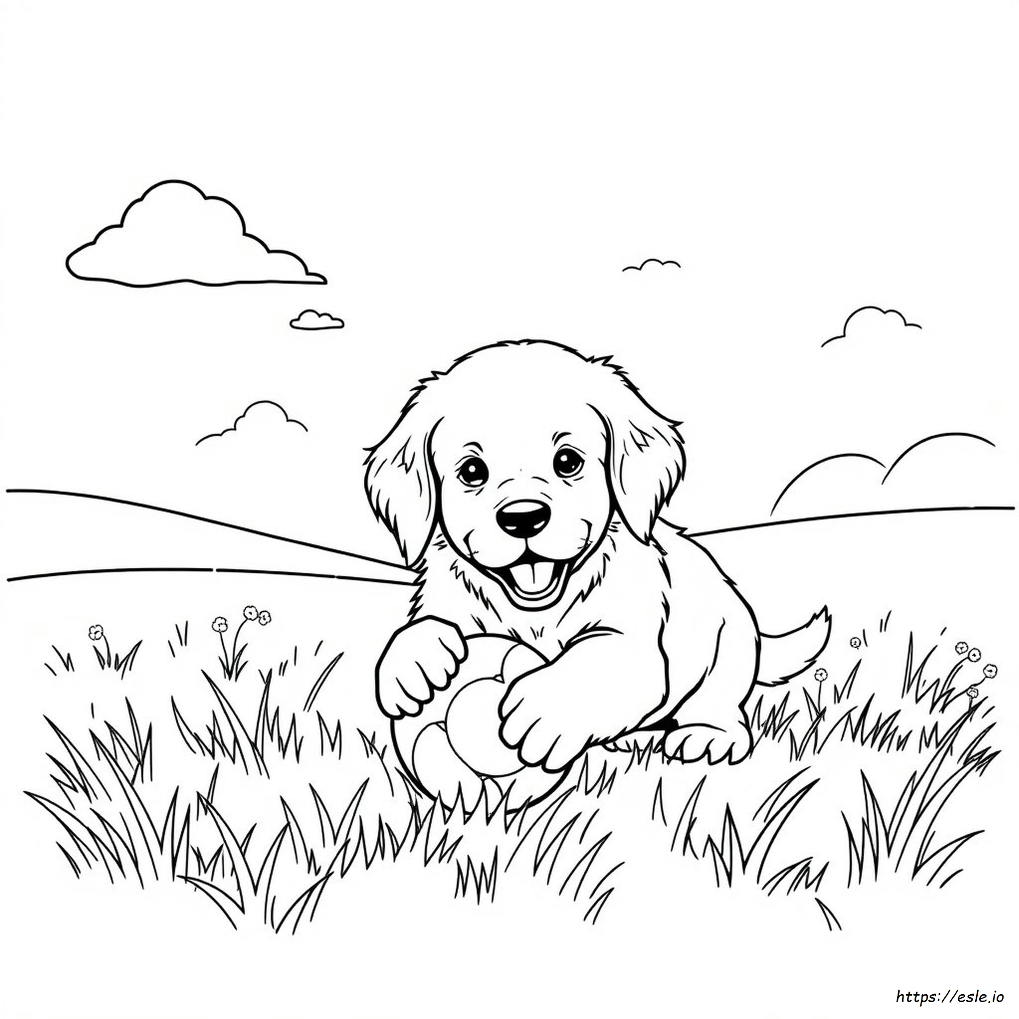 Anak Anjing Golden Retriever Lucu Gambar Mewarnai