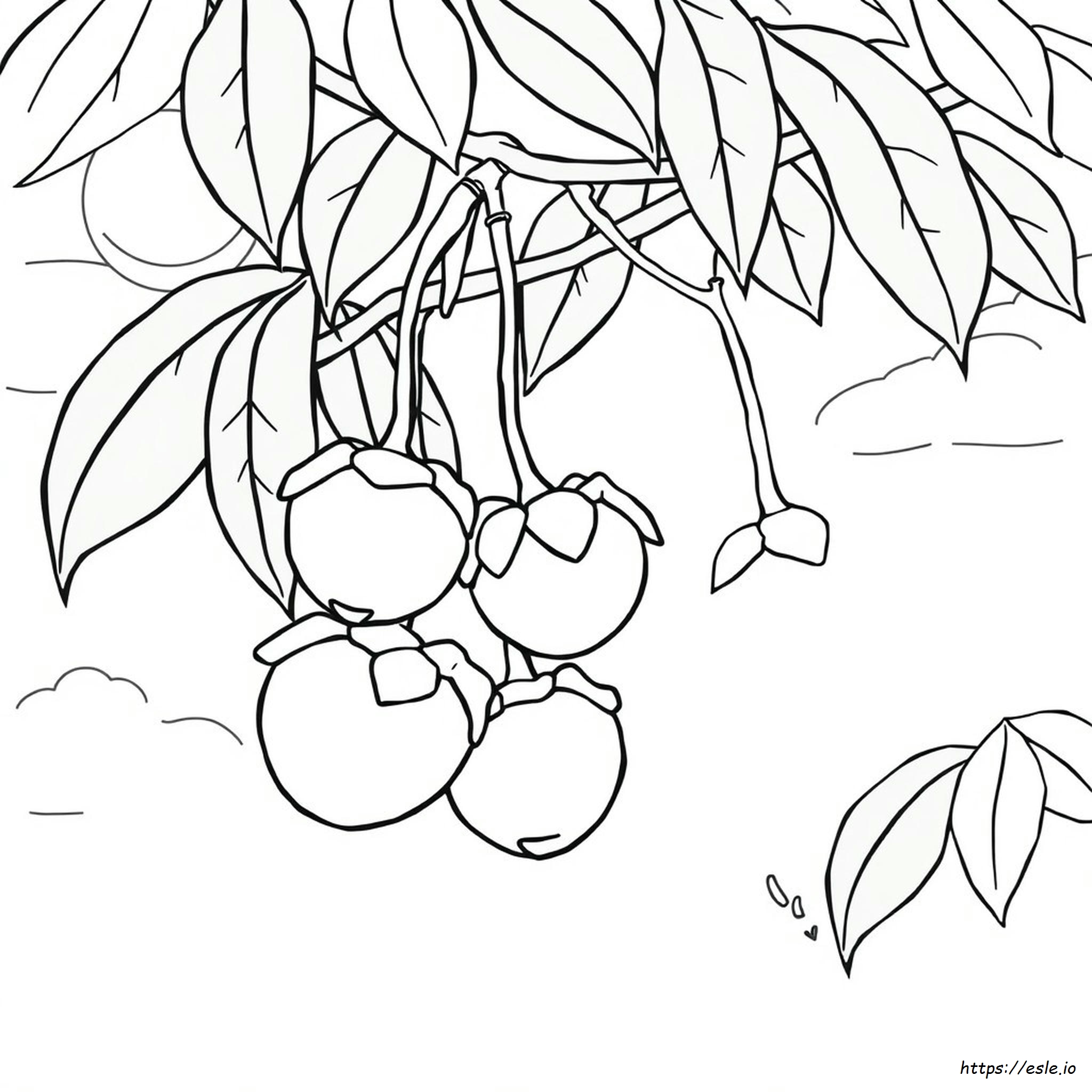 Mangga Gambar Mewarnai - Gratis untuk Dicetak