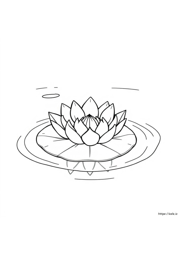 Lilypad Coloring Page