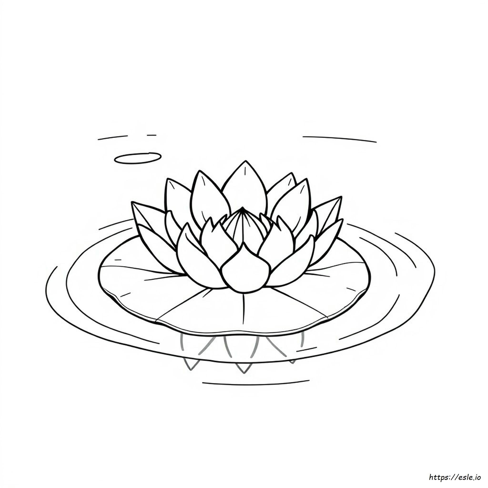 Lilypad Coloring Page