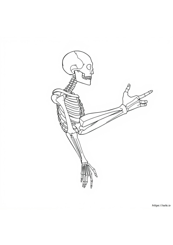 Kaplan Anatomy Coloring Book