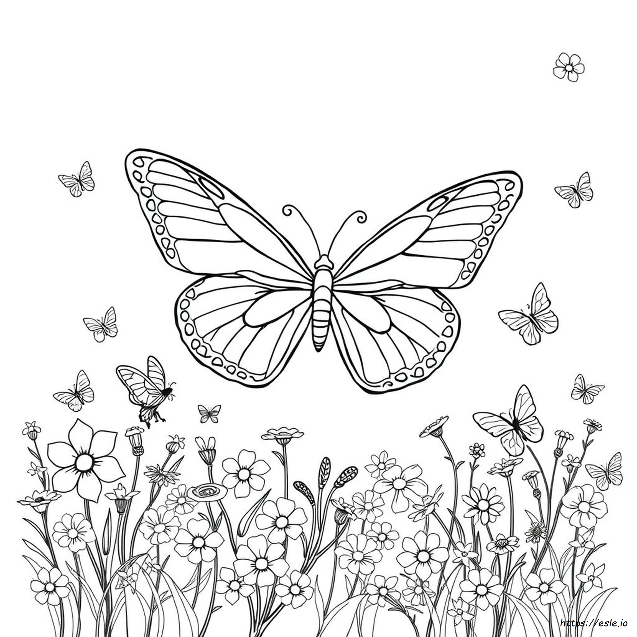 Butterfly Wings Coloring