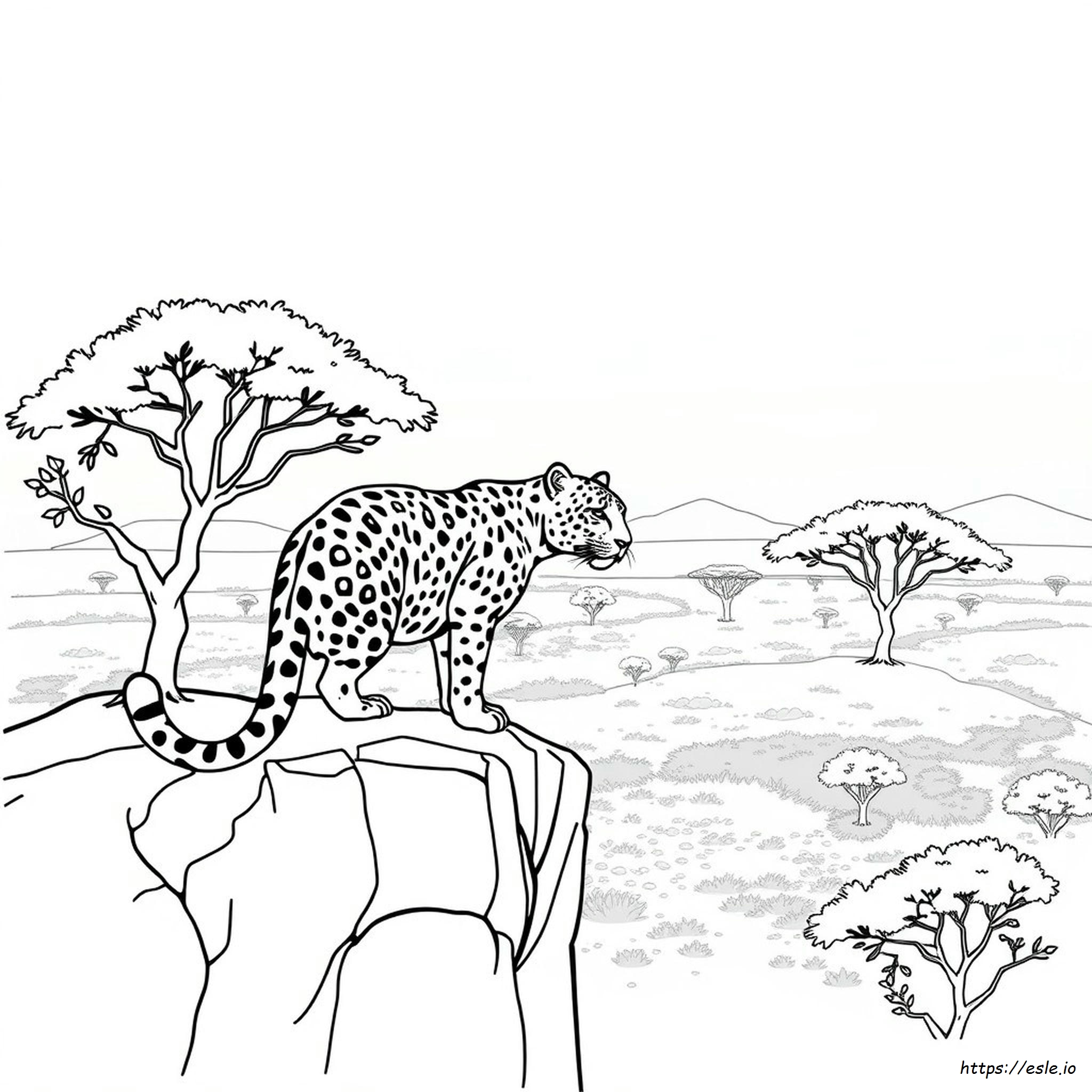 Jaguar Colouring Page
