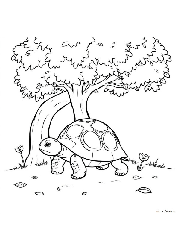 Tartaruga Para Colorir